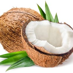 coconut